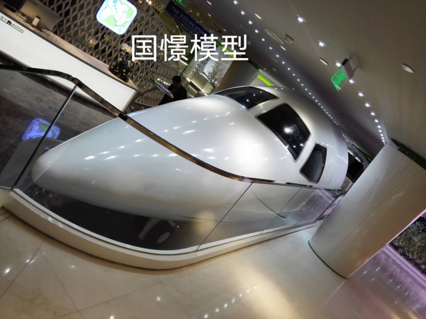 大宁县大型仿真模型道具