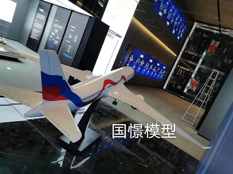 大宁县飞机模型